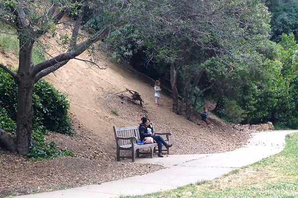 Dracena Quarry Park photo 1
